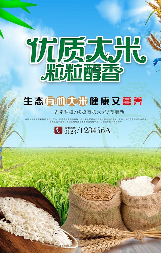 生态大米图片(3543x5315)psd模版下载