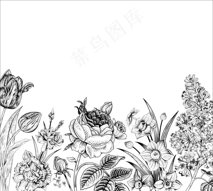 手绘花卉图片cdr矢量模版下载