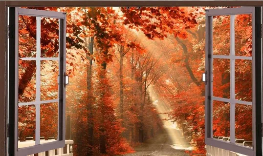 窗外图片 窗外图片