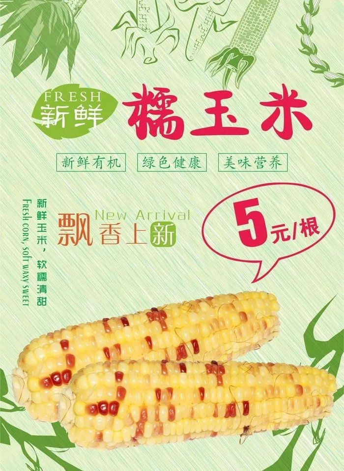 新鲜糯玉米 图片cdr矢量模版下载