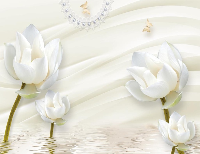 简约白色荷花图片