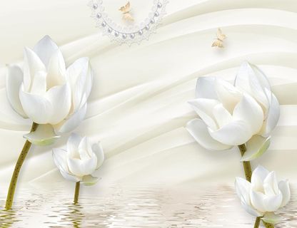 简约白色荷花图片