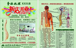 脊柱梳理DM单图片