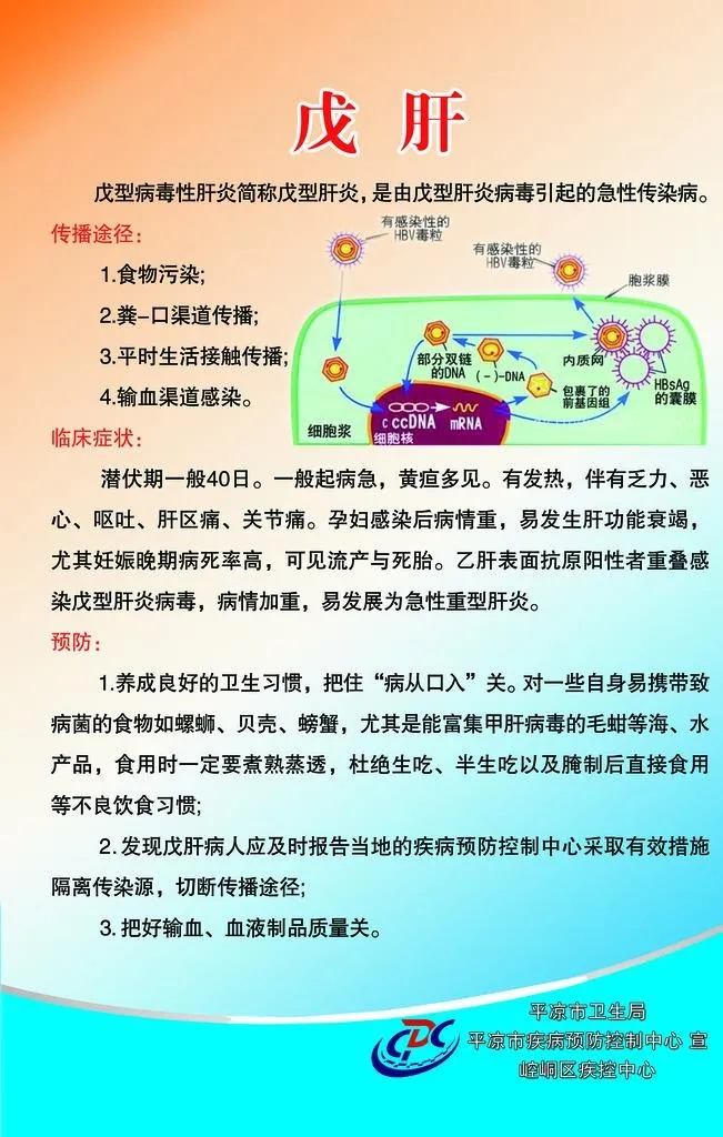 疾控中心展板图片(3150x4724)psd模版下载