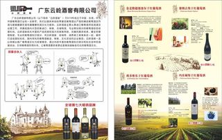 红酒宣传单图片