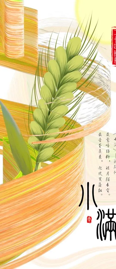 小满节日节气海报图片