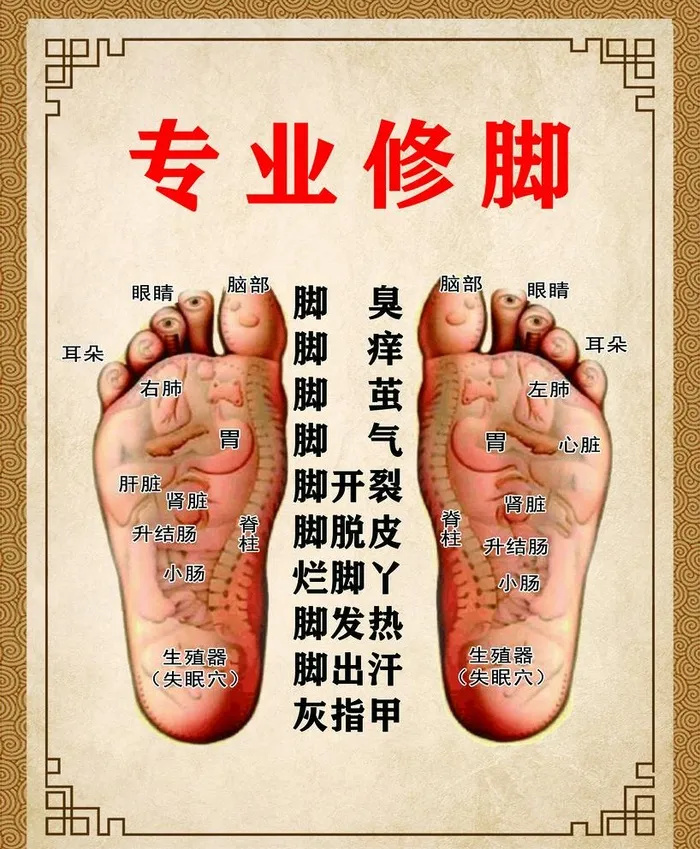 足部反映图图片(3150x3941)psd模版下载