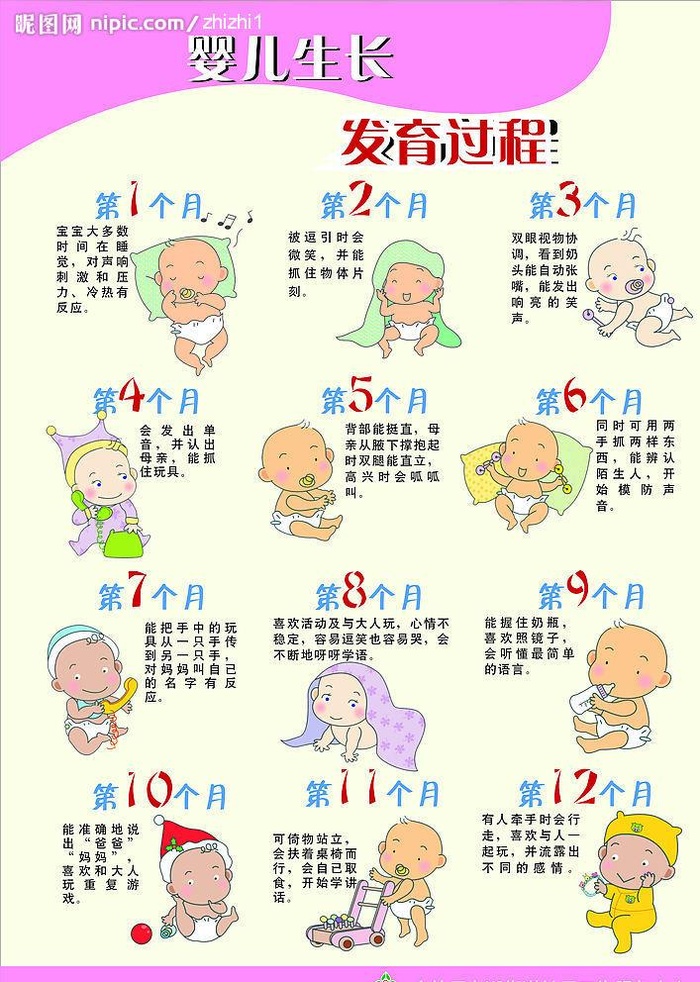 婴儿生长发育过程图片cdr矢量模版下载