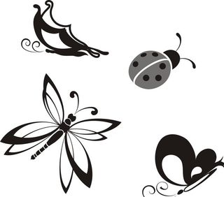 蝴蝶 蜻蜓 七星瓢虫图片