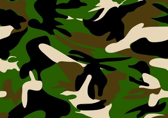 迷彩图片(3597x2648)