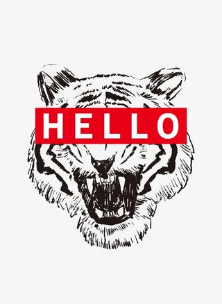 文字图案 老虎 动物图案图片