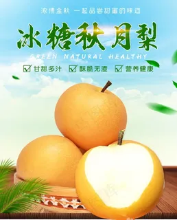 冰糖秋月梨图片