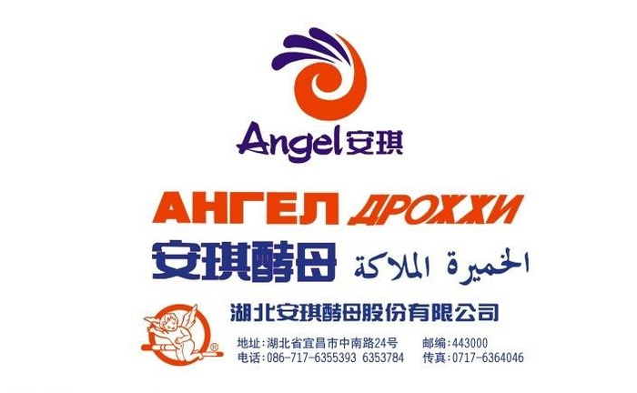 安琪酵母标志图片cdr矢量模版下载