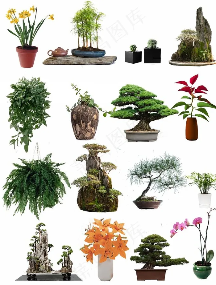 绿植盆栽免抠图图片(2224x2826)psd模版下载