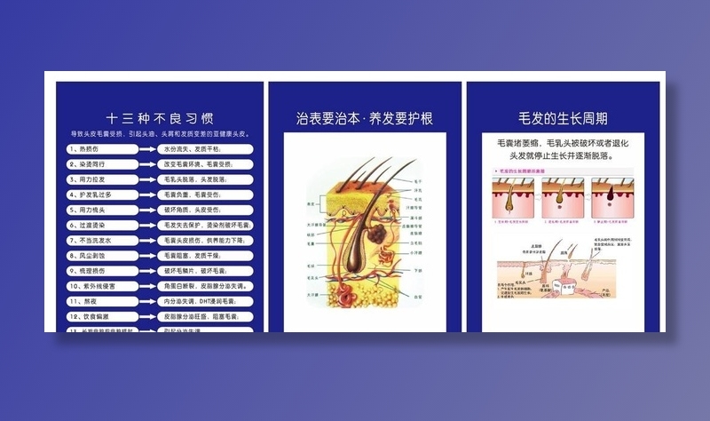 头皮护理图片