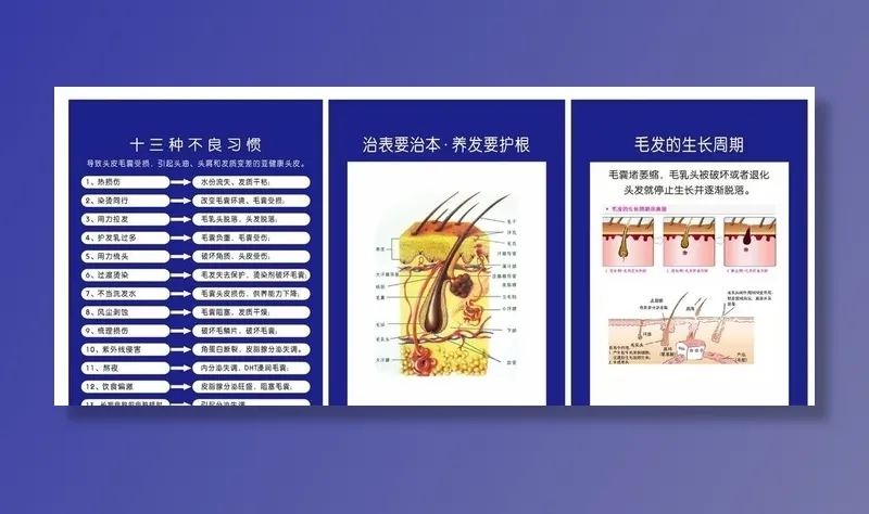 头皮护理图片cdr矢量模版下载