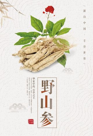 野山参海报图片