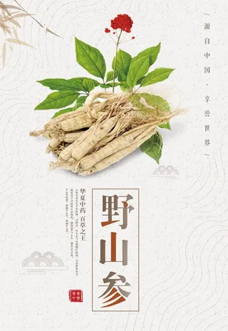 野山参海报图片