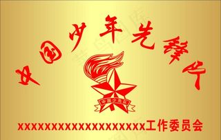 中国少年先锋队钛金牌图片