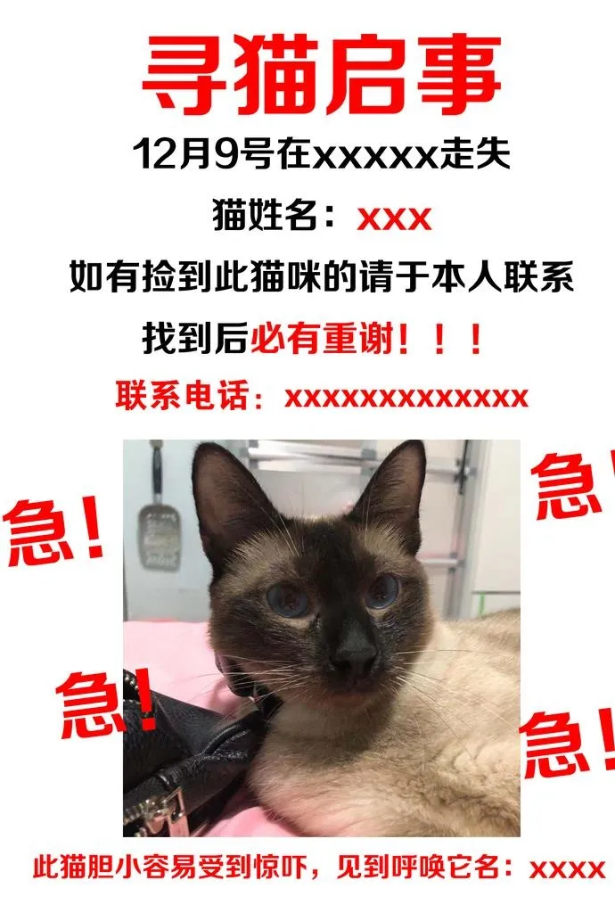寻猫启事图片(1748x2480)psd模版下载