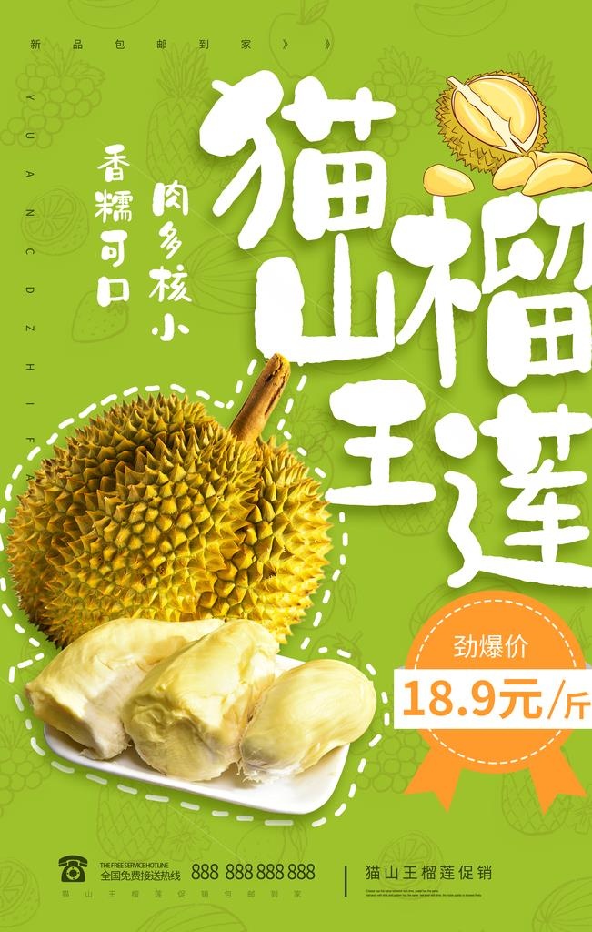 猫山榴莲海报图片