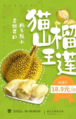 猫山榴莲海报图片