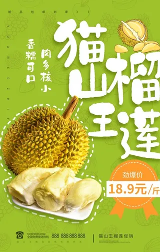 猫山榴莲海报图片