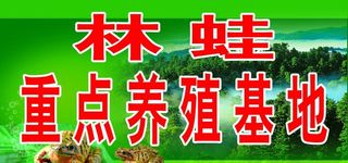 林蛙养殖厂图片