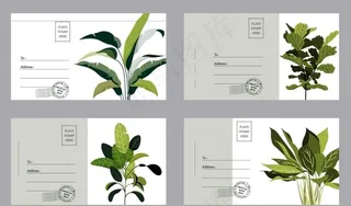 绿色植物明信片图片
