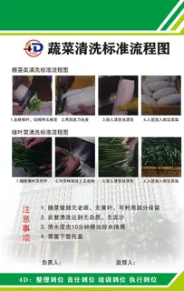 4D 蔬菜清洗标准流程图片