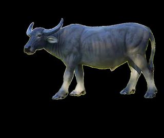 仿真水牛玻璃钢雕塑模型图片