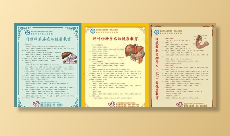 肝胆外科室健康处方DM宣传单(0×0像素())cdr矢量模版下载