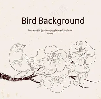 手绘线条情人节小鸟花朵图片