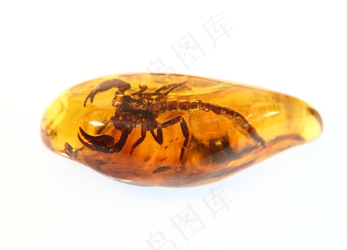 琥珀图片