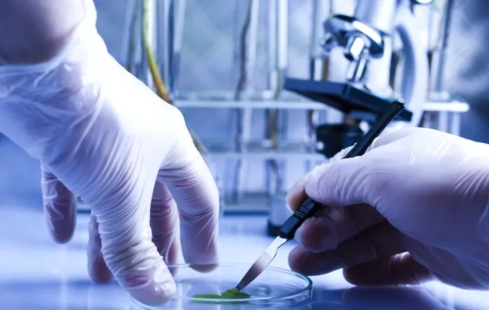 高清生物科技研究实验图片