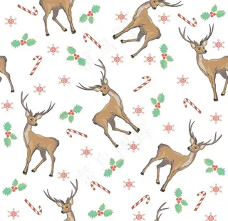 动植物无缝花纹图片