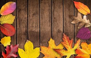 树叶木板背景图片