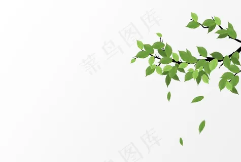 树叶图片
