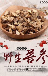 大气复古风格苦参海报图片