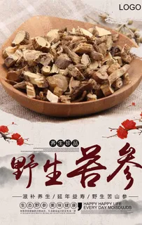 大气复古风格苦参海报图片