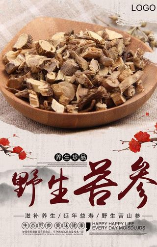 大气复古风格苦参海报图片