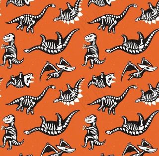 恐龙骨骼涂鸦儿童画图片