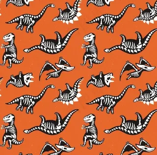 恐龙骨骼涂鸦儿童画图片