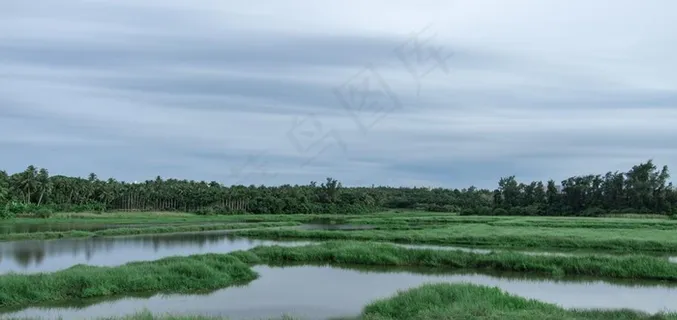 草原 水塘图片