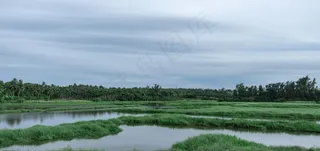 草原 水塘图片