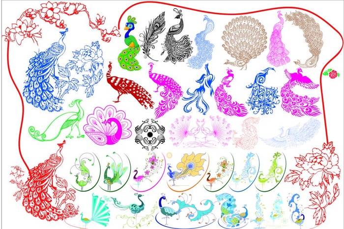 孔雀矢量图设计图片
