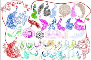 孔雀矢量图设计图片