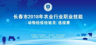 蓝色背景墙图片