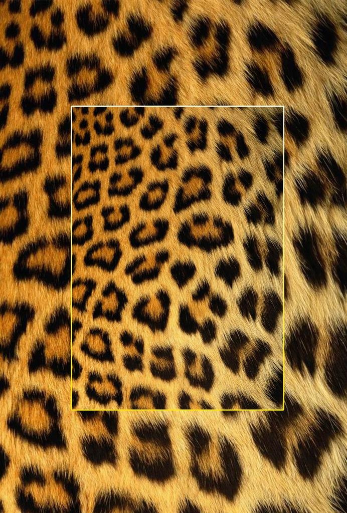 高清动物毛发背景JPG图片