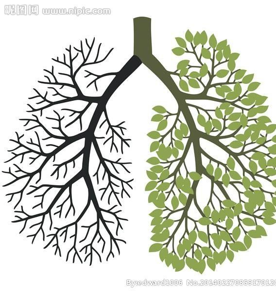 吸烟有害健康图片